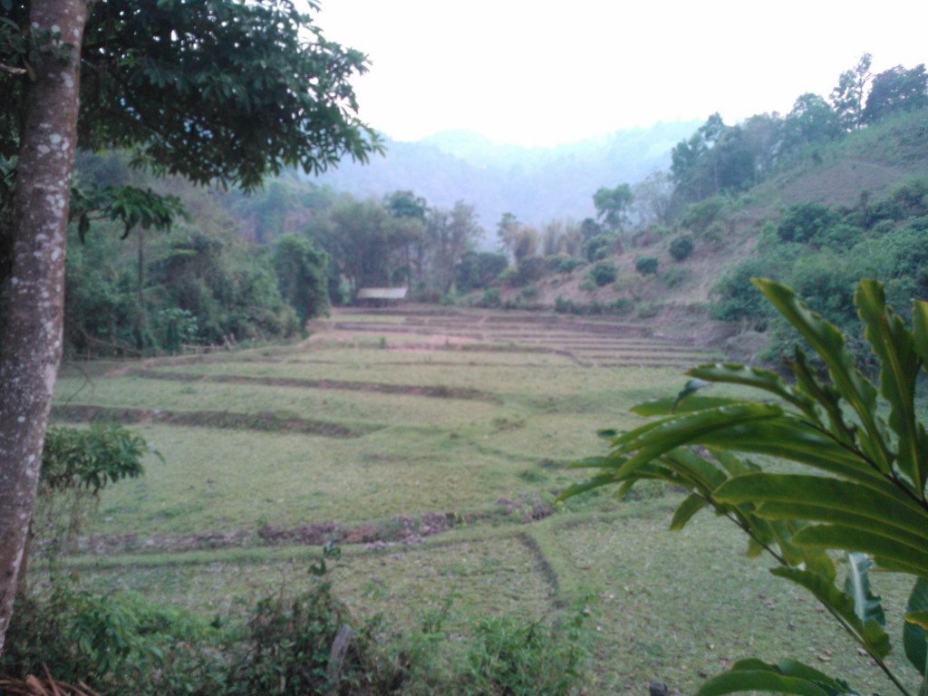 SavedPicture-2013328175130.jpg